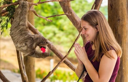 Roatan Wildlife & Private Beach Getaway