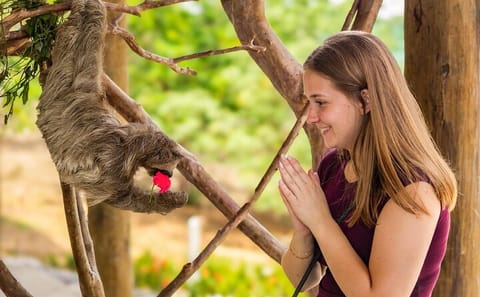 Coxen Hole Wildlife Encounter and Private Beach Day Trip