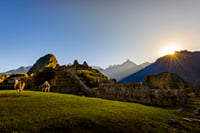 Machu Picchu Full Day Trip from Cusco 5