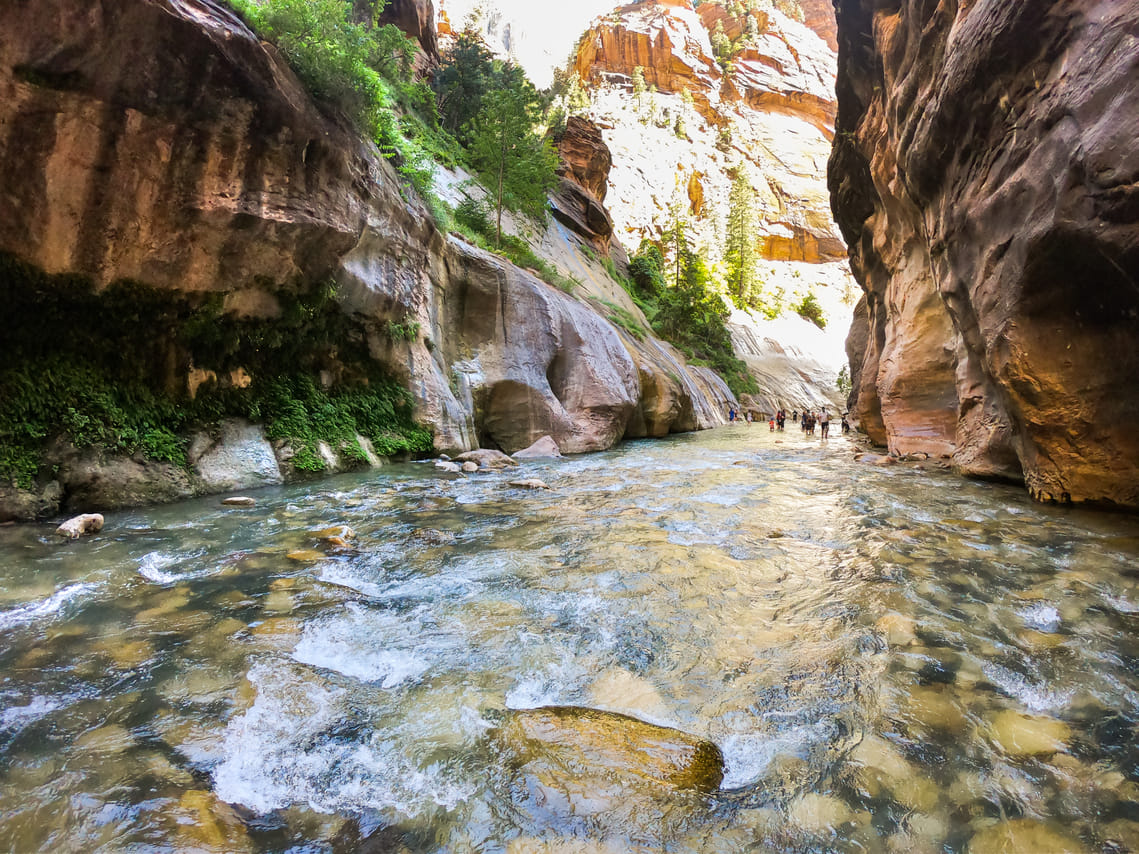 Zion Canyon National Park Private Day Tour up to 5pax 3