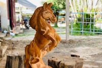 Hoi An: HOI AN COUNTRYSIDE CYCLING WITH LOCAL LIFE TOUR 8