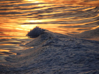 Akureyri Express Whales in the Midnight Sun, photo 8