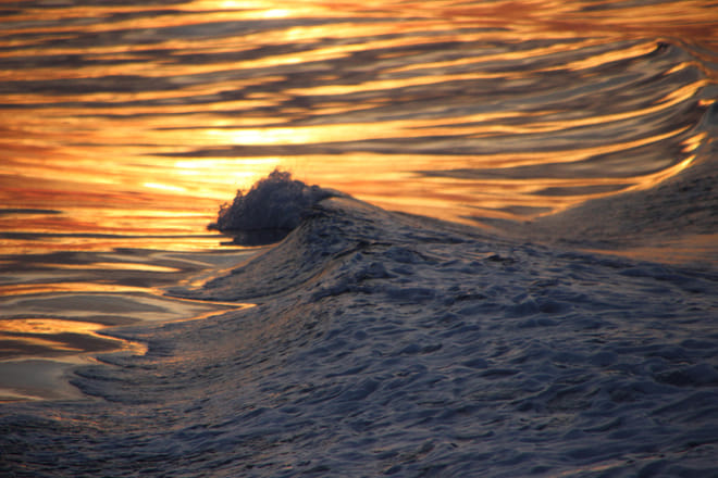 Akureyri Express Whales in the Midnight Sun 8