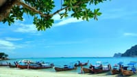 Phi Phi Islands 9AM. - Daytime Delight  5
