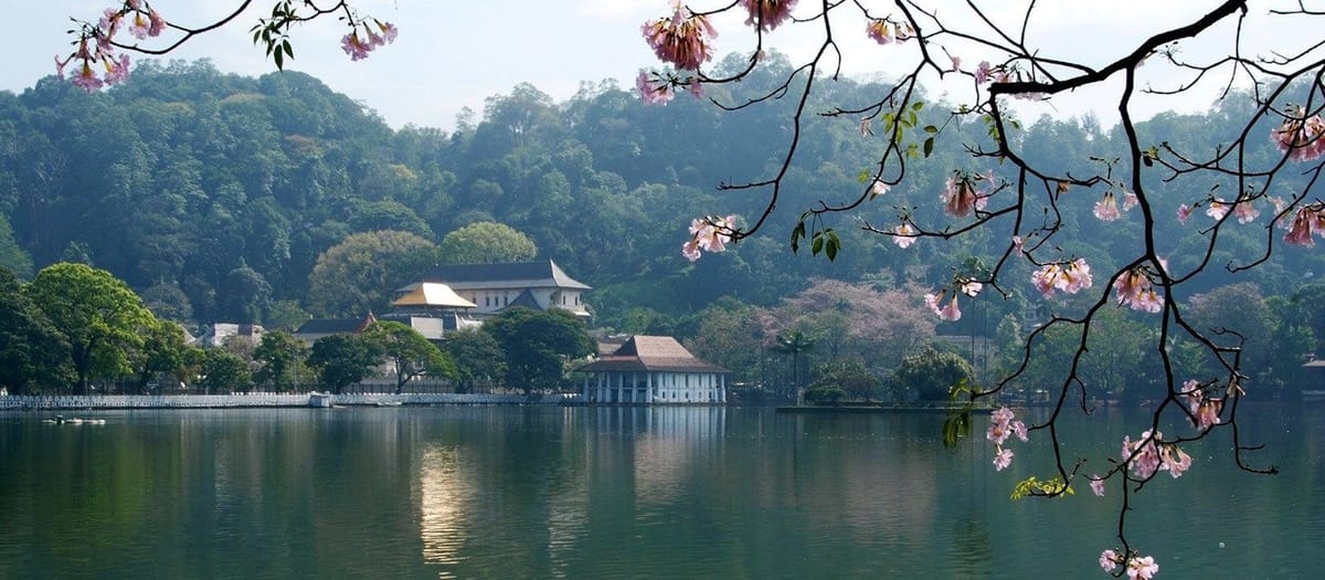 4 Day Exprience in Sri Lanka