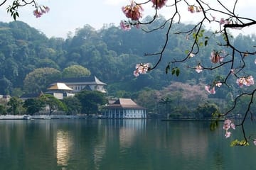 4 Day Exprience in Sri Lanka