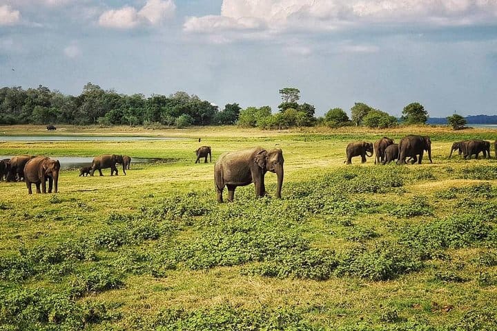 The Local Way – 7 Days Tour