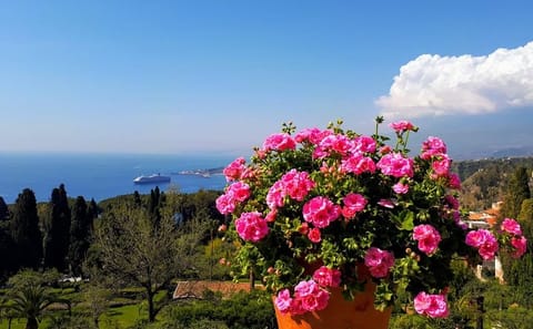 Sicily Day Tour from Malta: Explore Pozzallo and Syracuse