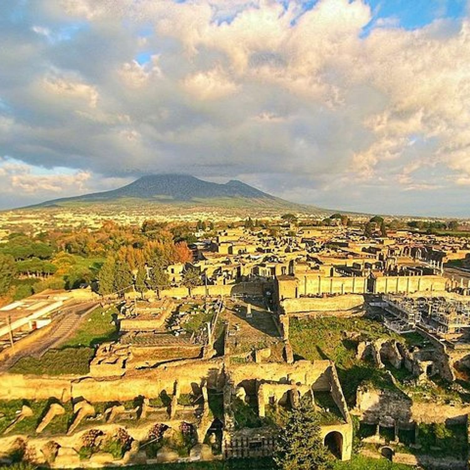 Vesuvius, Pompeii Ruins, experience vineyards and the winery tour with ...