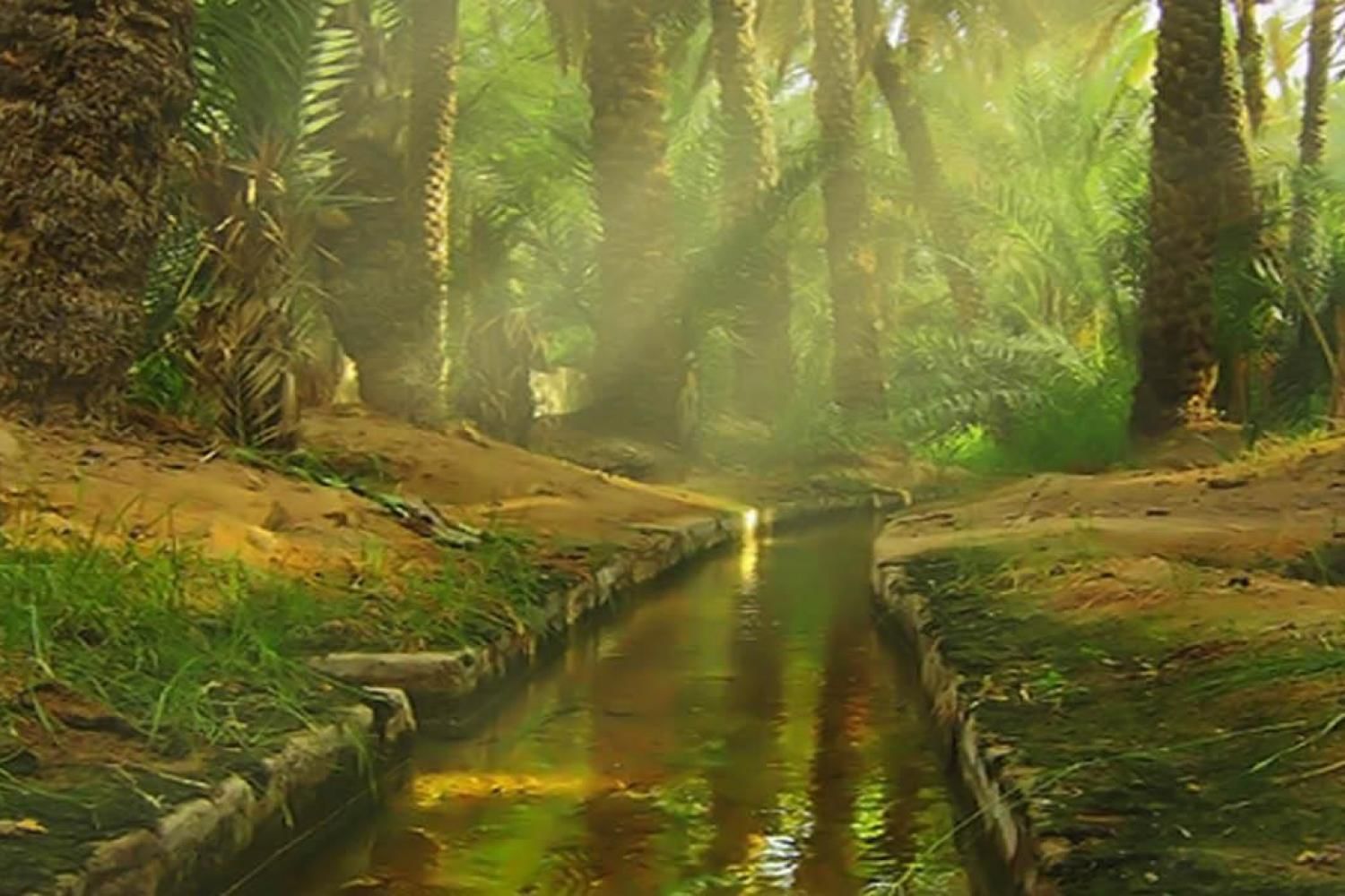 Al Ain Tour with Lunch with Daytur