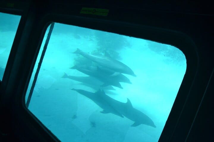 El Gouna Semi Submarine Sea Trip 2 Hours From Abu Tig Marina