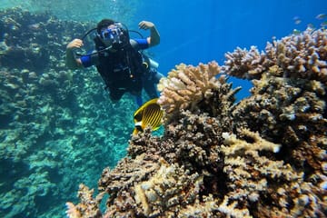 Scuba Diving Introduction at Red Sea Diving College, Egypt