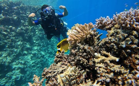 Scuba Diving Introduction at Red Sea Diving College, Egypt