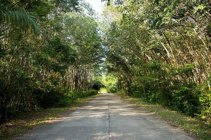 Koh Yao Native Touch & Local Tours