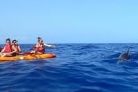 Kayaking, Snorkeling & Swimming  8