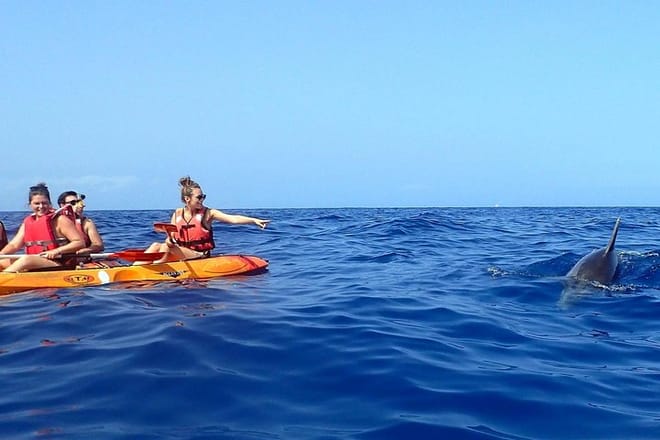 Kayaking, Snorkeling & Swimming  8