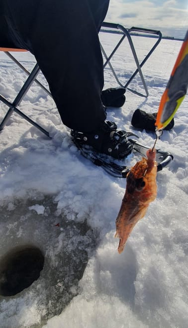 Arctic Ice Fishing by Snowshoe 3