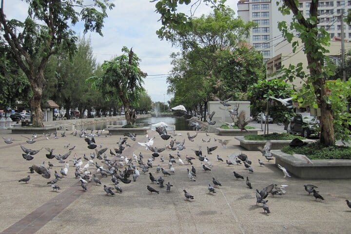 Chiang mai Suthep National Park Leisure Hiking & Mountain Biking