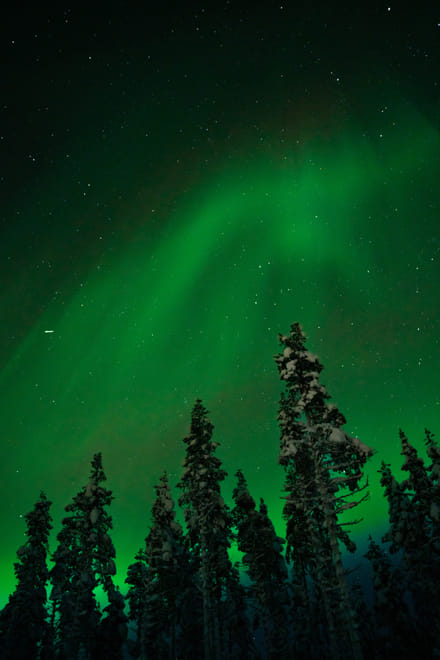 Northern Lights Reindeer Sledge Ride 2