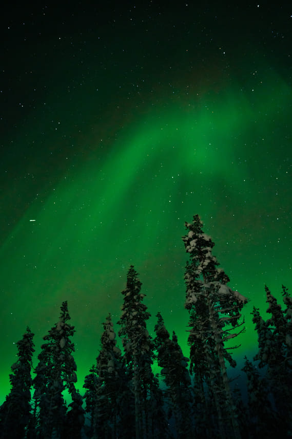 Arctic Circle: Northern Lights Hunting by Minibus 2