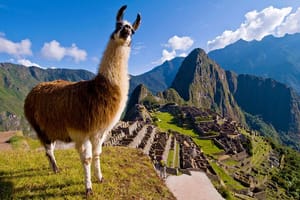 5 Day - Tour to Machu Picchu Traditional - Group  service