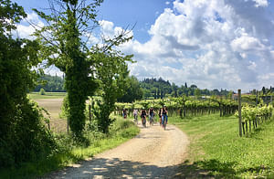 E-Bike tour with wine tasting from Polpenazze
