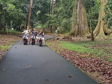 Bali 4 Days Guided Tour with Accommodation