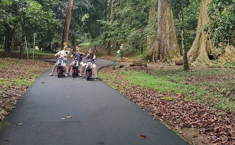 Bogor Botanical Garden and Miniature Park Guided Tour