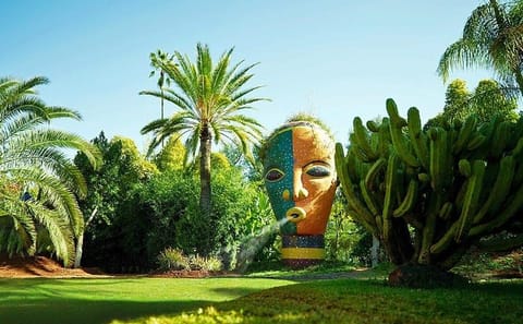 Marrakech Garden Tour: Majorelle, Menara & Anima Gardens
