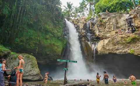 Private Bali Highlights Tour with Ritual Bath at Tirta Empul