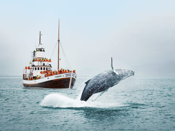 Colombo Beach Tour: 6 Days of Coastal Adventure and Relaxation