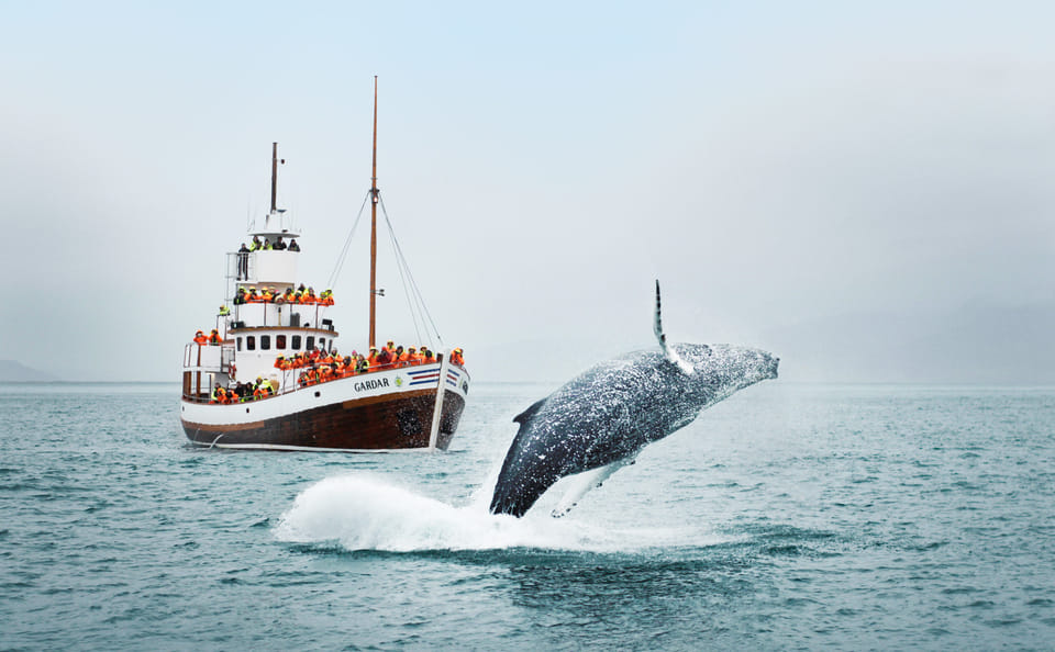 Colombo Beach Tour: 6 Days of Coastal Adventure and Relaxation
