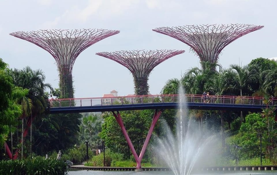Gardens by the Bay Admission Ticket in Singapore