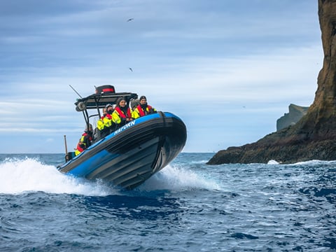 1 hour RIB boat tour, photo 5