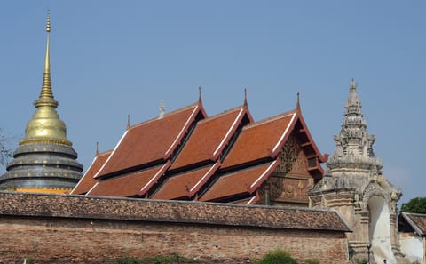 Lampang City Tour with Elephant Conservation Experience