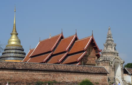 Lampang City Tour with Elephant Conservation Experience