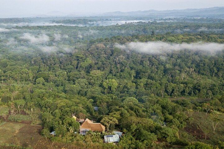 Explore Primates: 10 Days Safari Tour in Uganda