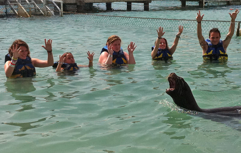 Riviera Maya Puerto Aventuras - Dolphin Royal Connection 10