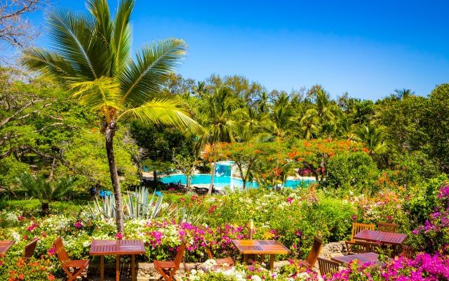 3 Days 2 Nights Diani beach $ Shimba National Reserve