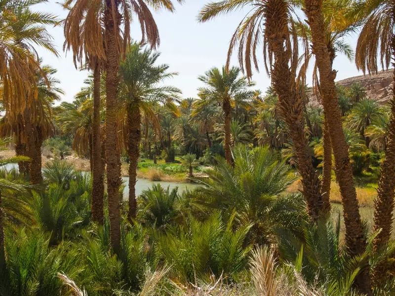 Paradise Valley – Agadir