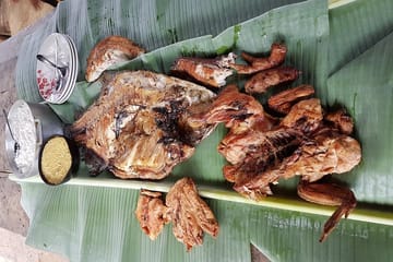 Tucandeira Ants Ritual Tour in Manaus, Brazil