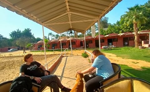 Giza Dessert Horseback Ride – Hidden Pyramids Experience