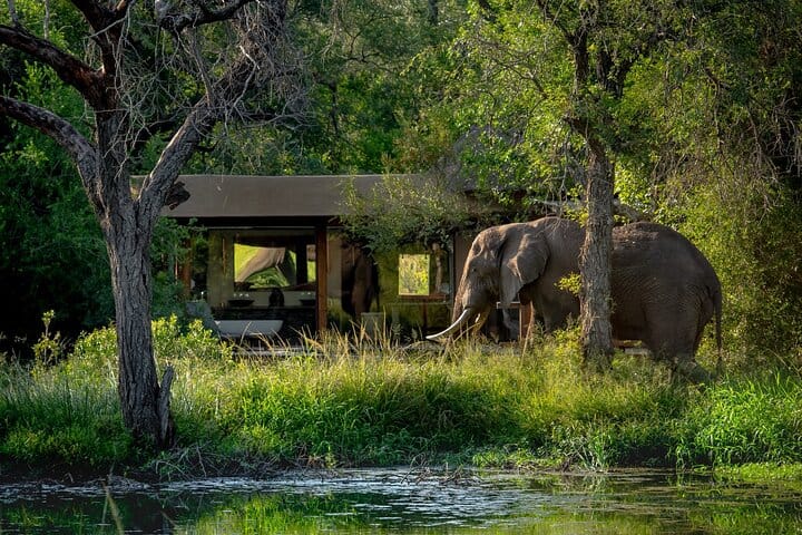 3 Days Queen Elizabeth Wildlife Safari