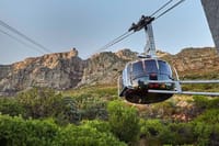 3 Days Private Tour: Cape point, Table Mountain & Robben Island  8
