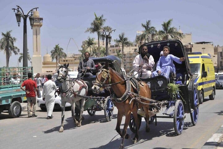 Private City Tour One Hour By Horse Carriage &amp; 1 hour River Nile boat tour-Luxor