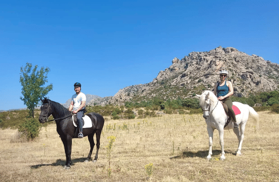 Horseback Riding in Madrid