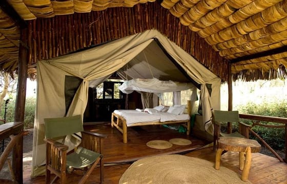 4-Day Masai Mara Shared Budget Safari with Pickup from Nairobi