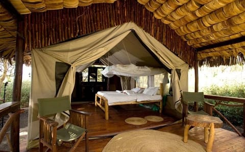 4-Day Shared Budget Safari in Masai Mara from Nairobi