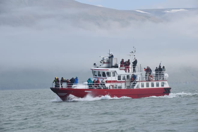 Akureyri Classic Whale Watching 6