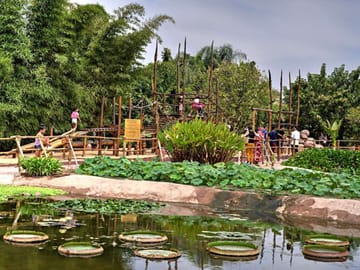 Crocodile Park Tour in Agadir from Taghazout